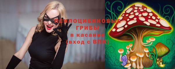 дмт Богданович