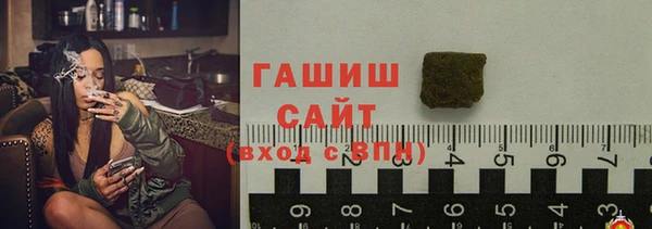 дмт Богданович