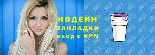дмт Богданович