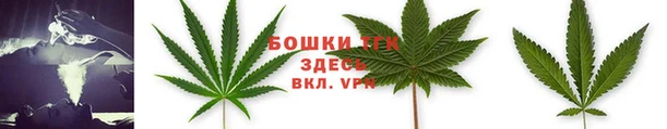дмт Богданович