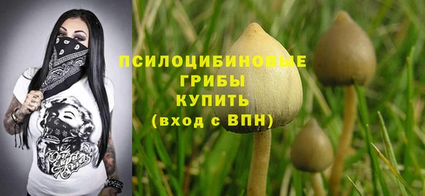 дмт Богданович